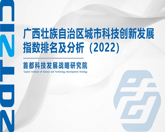 逼特逼污【成果发布】广西壮族自治区城市科技创新发展指数排名及分析（2022）